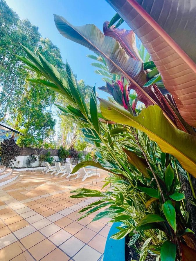Beachview Apartments At Villa Paradiso Palm Cove Bagian luar foto