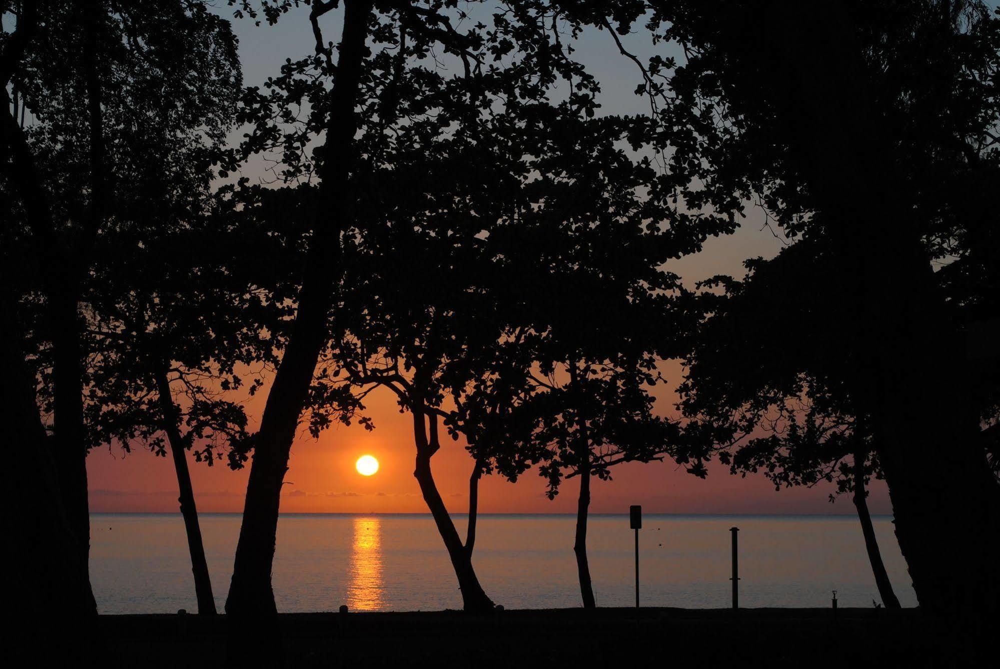 Beachview Apartments At Villa Paradiso Palm Cove Bagian luar foto
